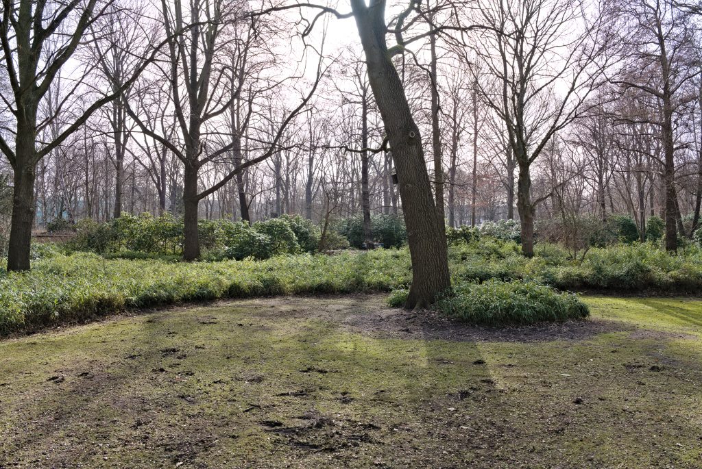 Grunewald