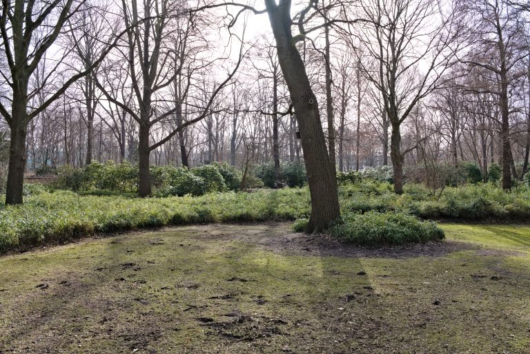 Grunewald