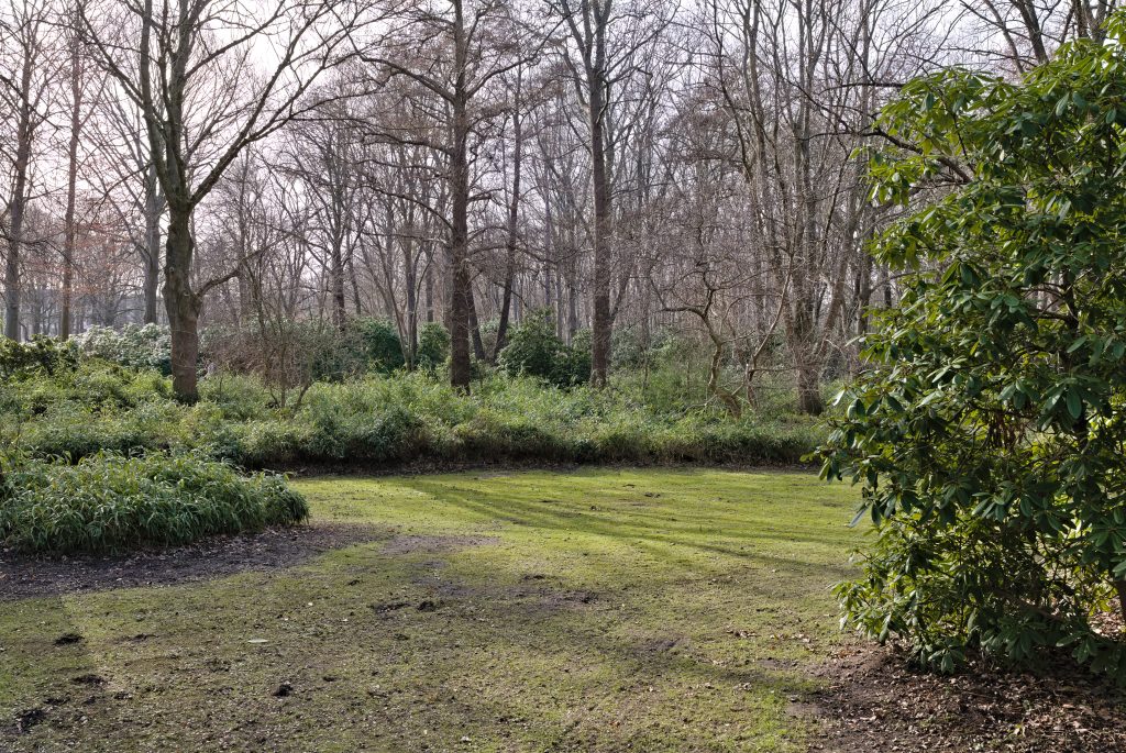 Britzer Garten