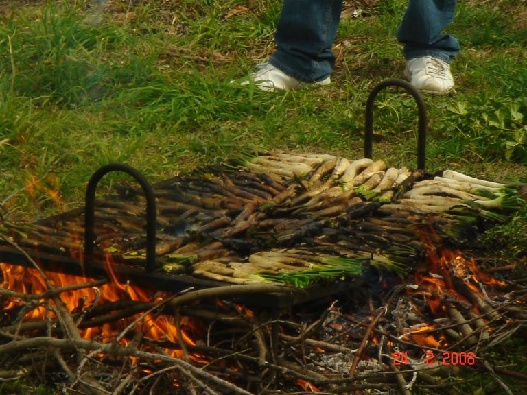 Calçots