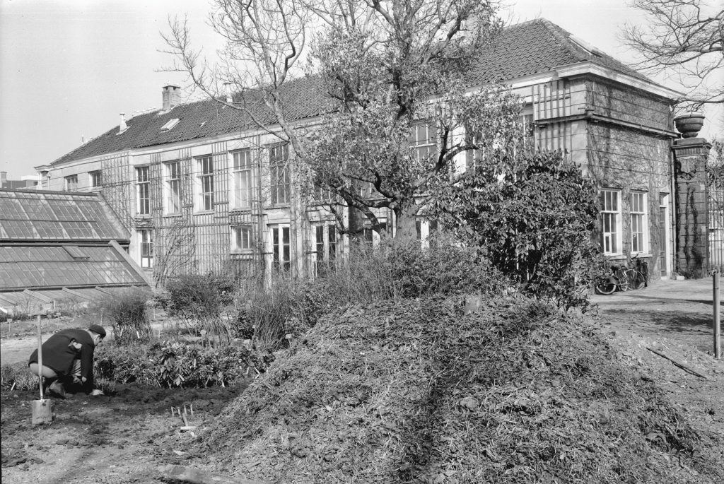 Hortus Botanicus Amsterdam