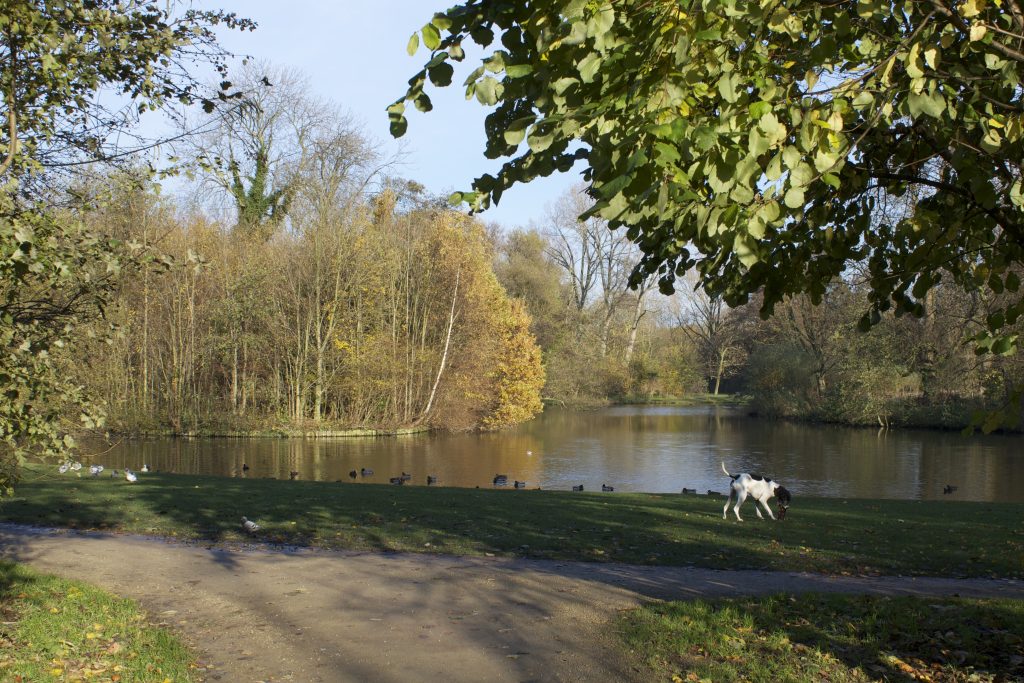 Vondelpark