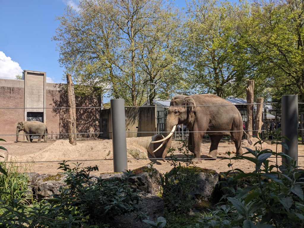 ARTIS Amsterdam Royal Zoo