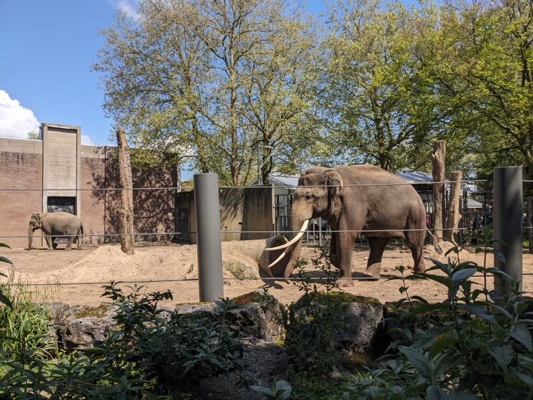 ARTIS Amsterdam Royal Zoo