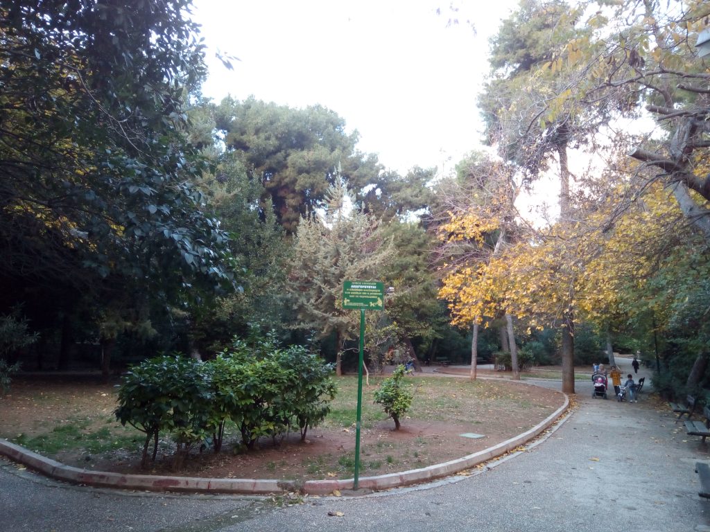 Άλσος Παγκρατίου