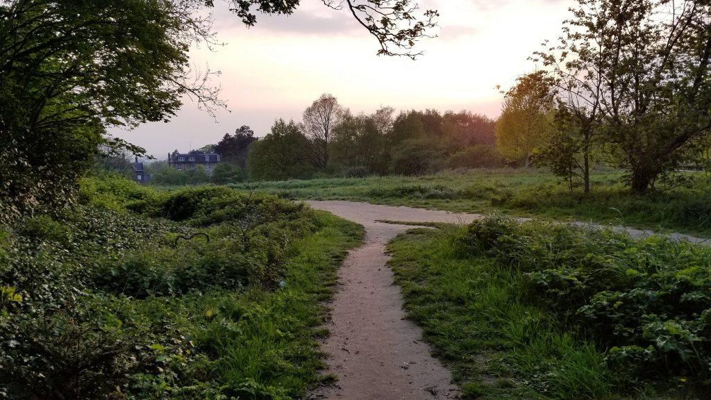 Hampstead Heath