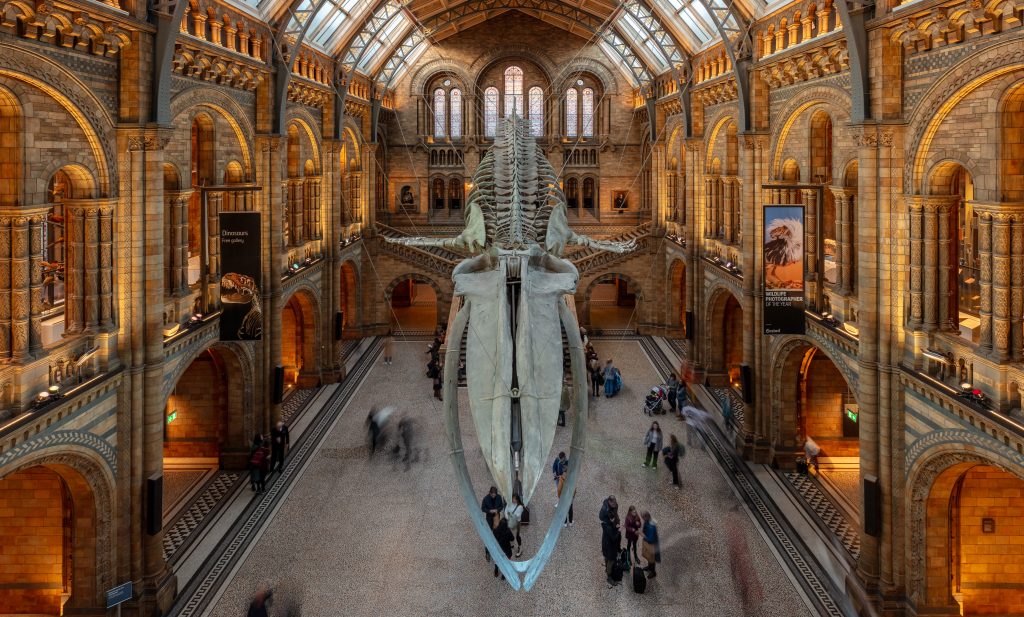 Natural History Museum