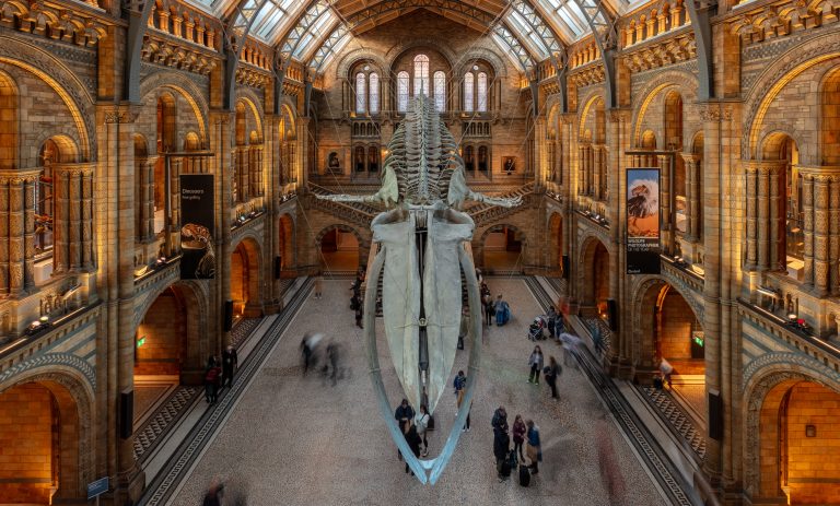 Natural History Museum