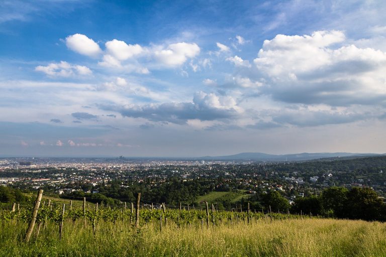 Kahlenberg και Wienerwald