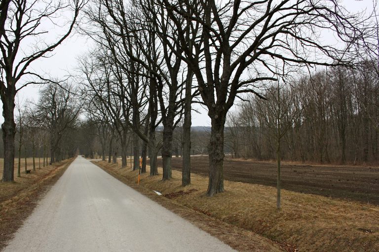 Lainzer Tiergarten