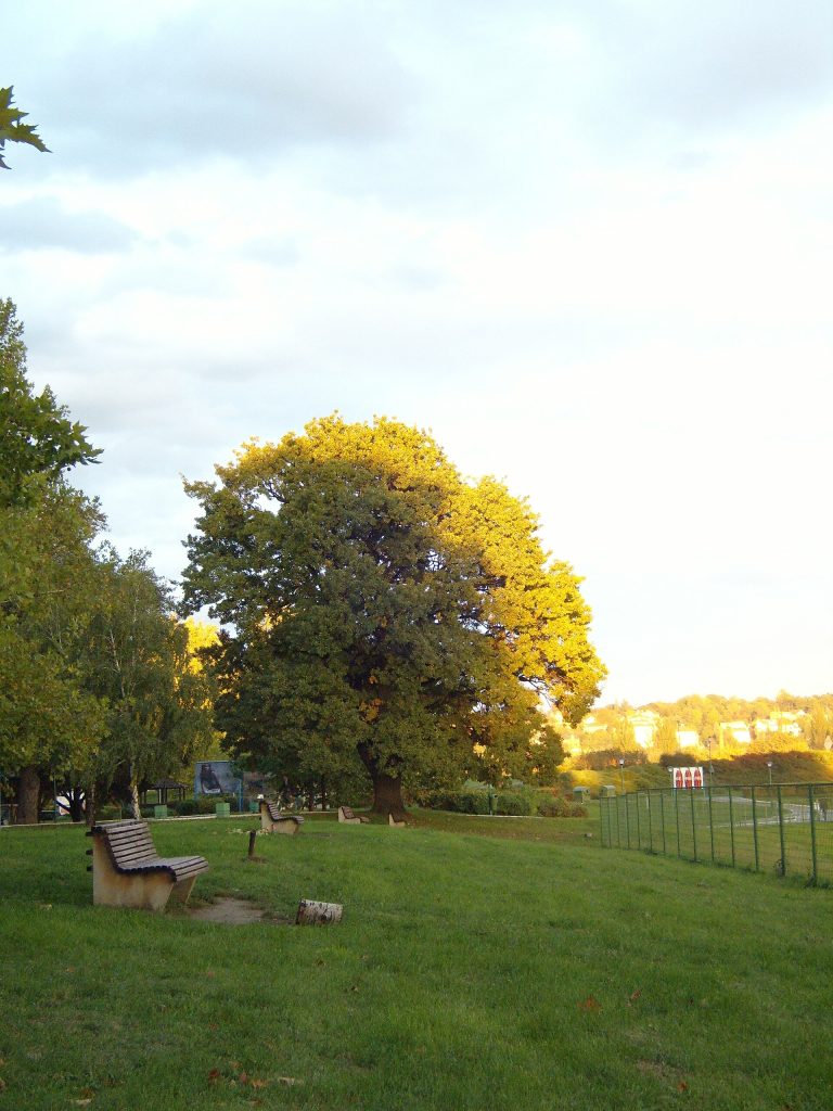 Ada Ciganlija