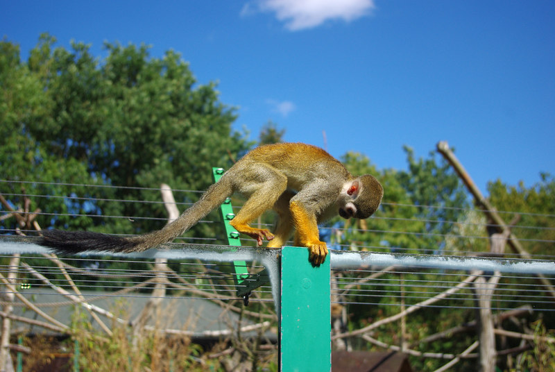 Birmingham Wildlife Conservation Park