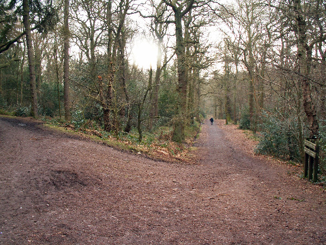 Lickey Hills Country Park