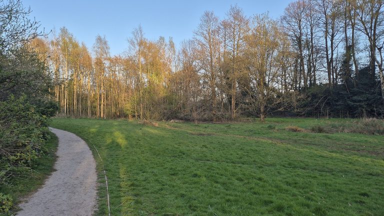 Moseley Bog & Joy’s Wood