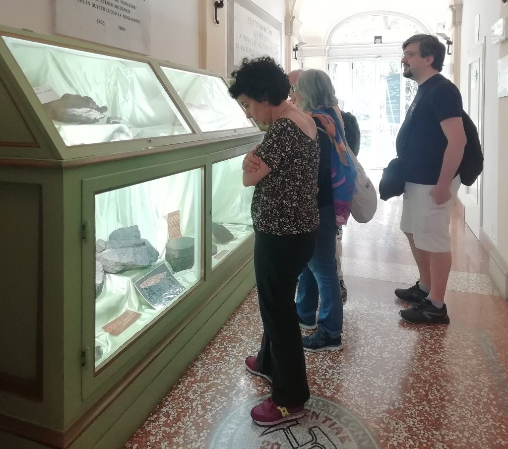 Museo Giovanni Capellini