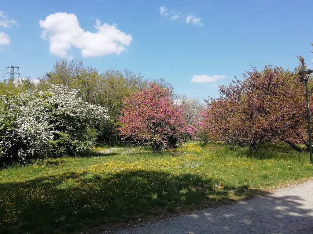 Parco di Villa Angeletti