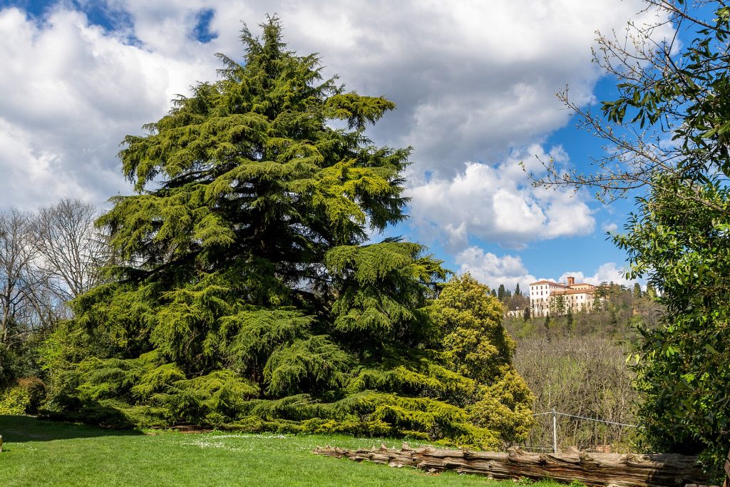 Parco di Villa Ghigi